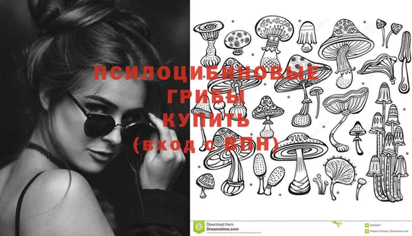 амф Абаза